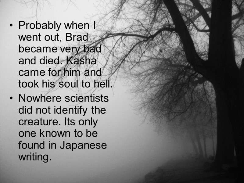 Probably when I went out, Brad became very bad and died. Kasha came for